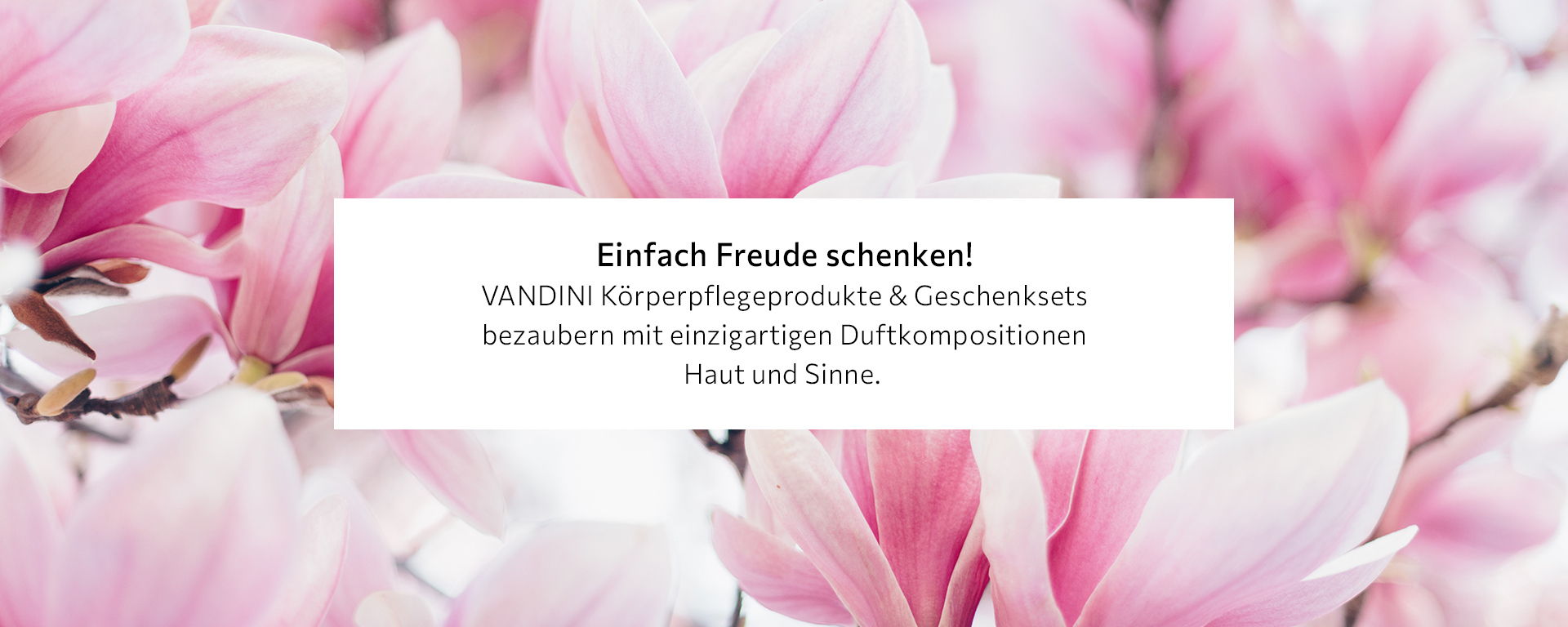 VANDINI