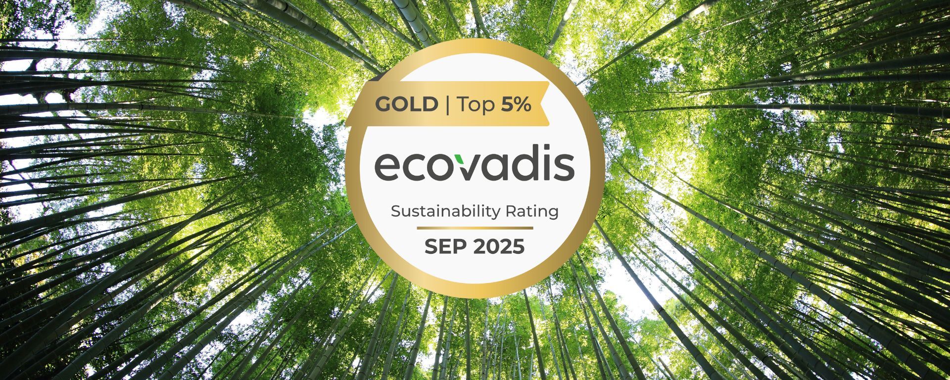 Nachhaltigkeit mit Brief und Siegel: EcoVadis Gold 2025