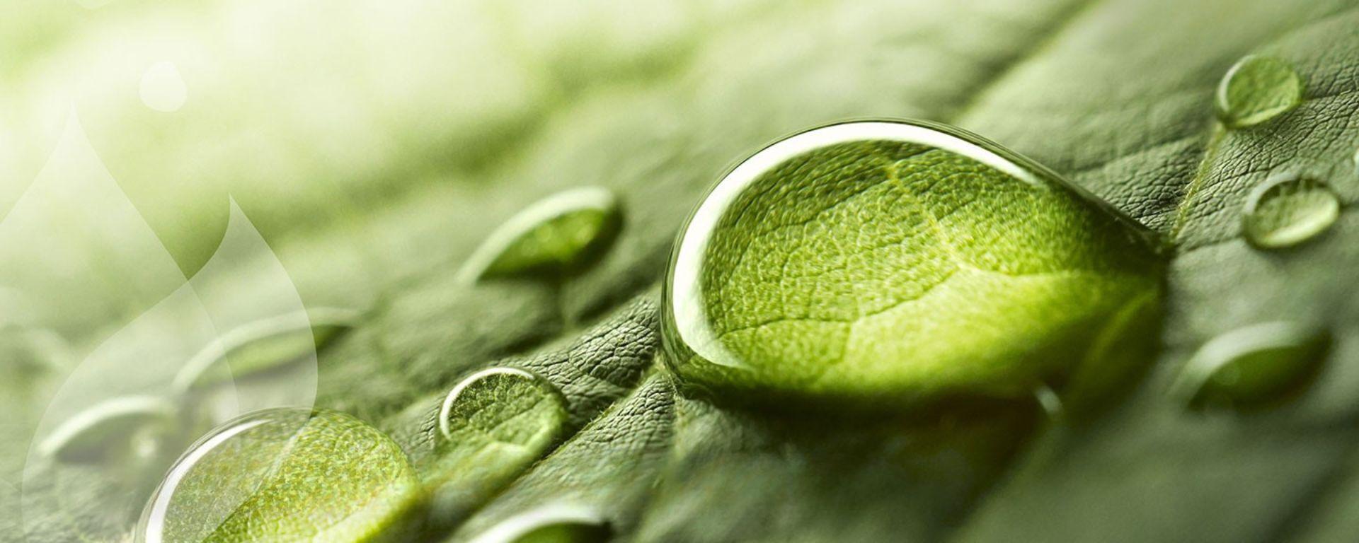 Nachhaltigkeitsbericht 2024