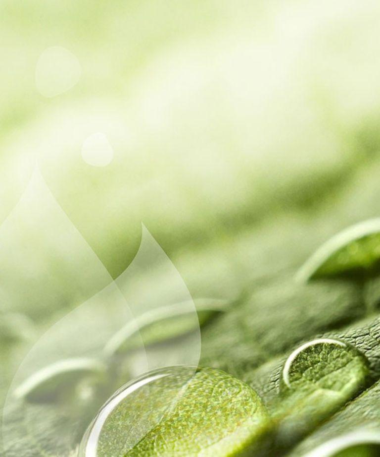 Nachhaltigkeitsbericht 2024