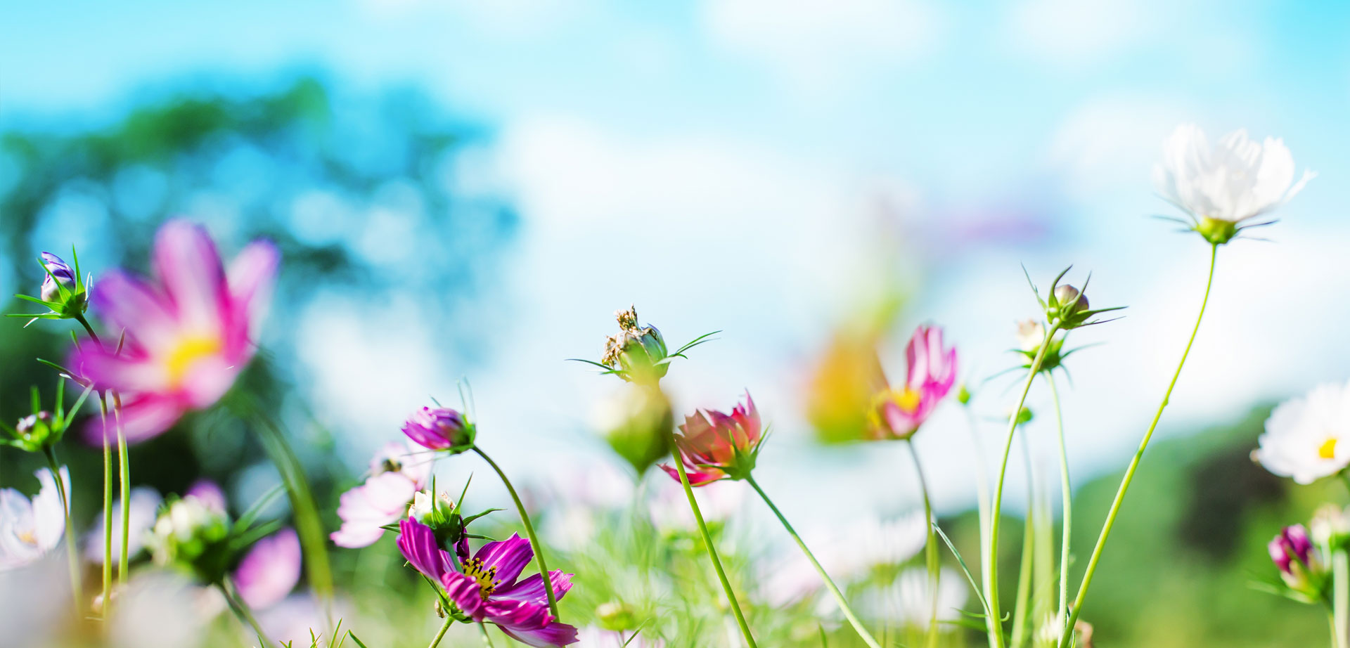 SUSTAINABILITY REPORT