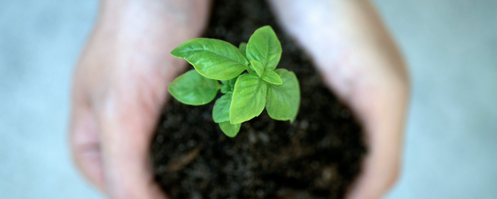Sustainability