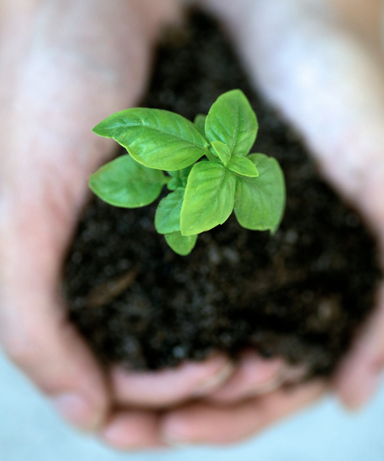 Sustainability