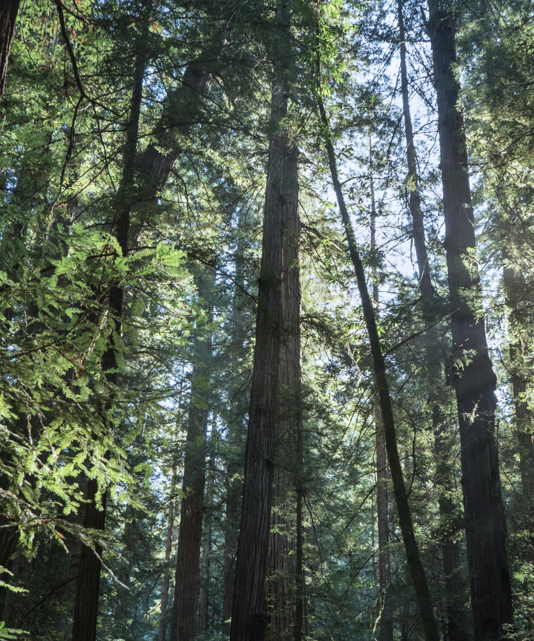 SUSTAINABILITY REPORT
